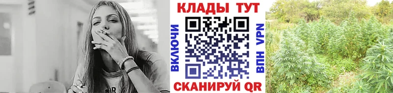 Купить закладку Ессентуки МАРИХУАНА  Героин  Псилоцибиновые грибы  Гашиш  КОКАИН  APVP  Меф 