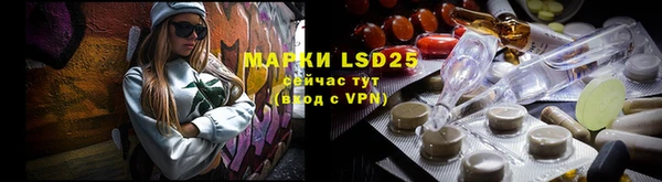 ПСИЛОЦИБИНОВЫЕ ГРИБЫ Баксан