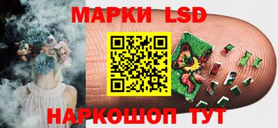 прущие грибы Краснодар