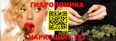 прущие грибы Краснодар