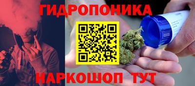 прущие грибы Краснодар