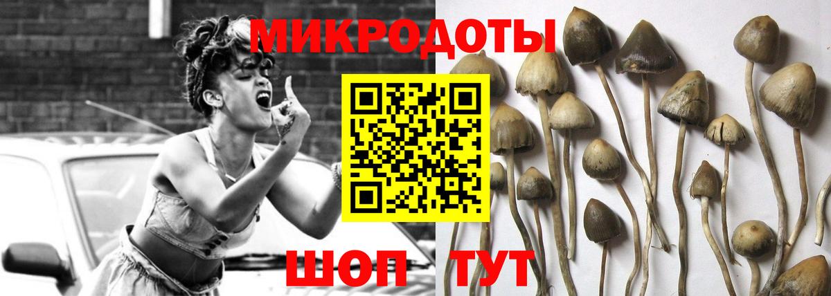 Ессентуки  Галлюциногенные грибы Psilocybine cubensis  Вход с VPN 