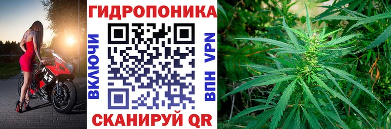 гидра маркетплейс  купить  цена  Ессентуки  Бошки Шишки SATIVA & INDICA 